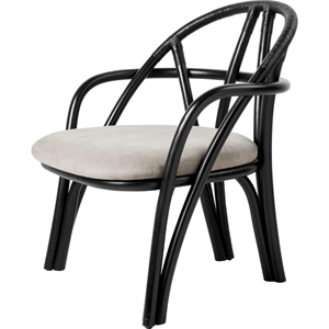 Fotel Gubi Bistra Heban Malowany Rattan/Fustagno Limonta 001
