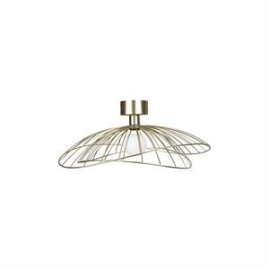 Globen Lighting Ray Lampa Sufitowa/ Kinkiet Szczotkowany Mosiężny