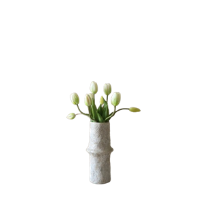 Bukiet Tulipanów Botané Biały