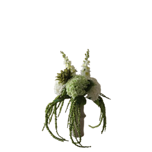 Botané Enchanted Matcha Bouquet Zielony
