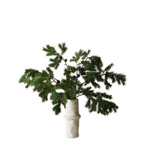 Botané Nordic Pine Bouquet Zielony