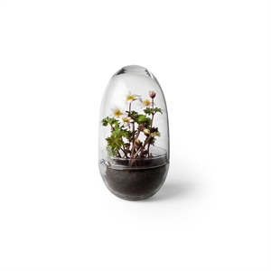 Design House Stockholm Grow Vase Medium Przezroczysty